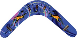 Aboriginal boomerang picture 5