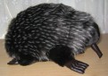 Big echidna toy