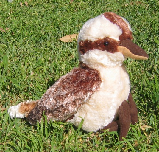 The Best Kookaburra Toy